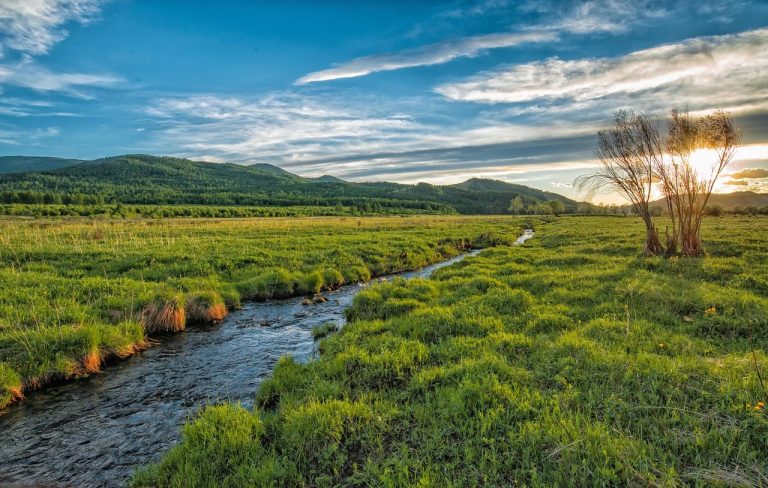 The Ashdale in early summer