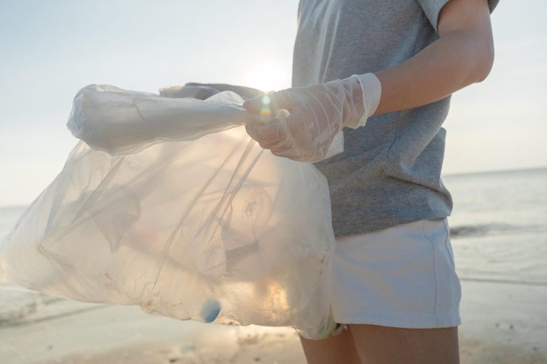 Clearing the Gullhaven shingle