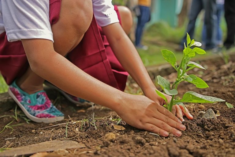 Young planters on the riverbank