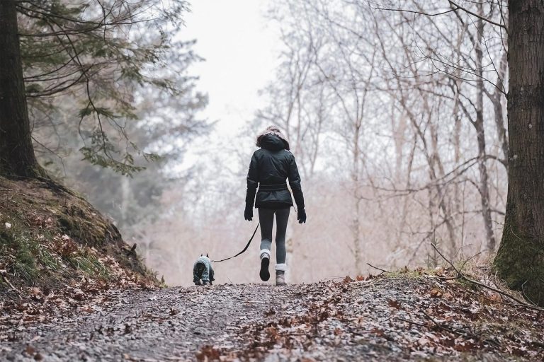 Morning walk at the sanctuary