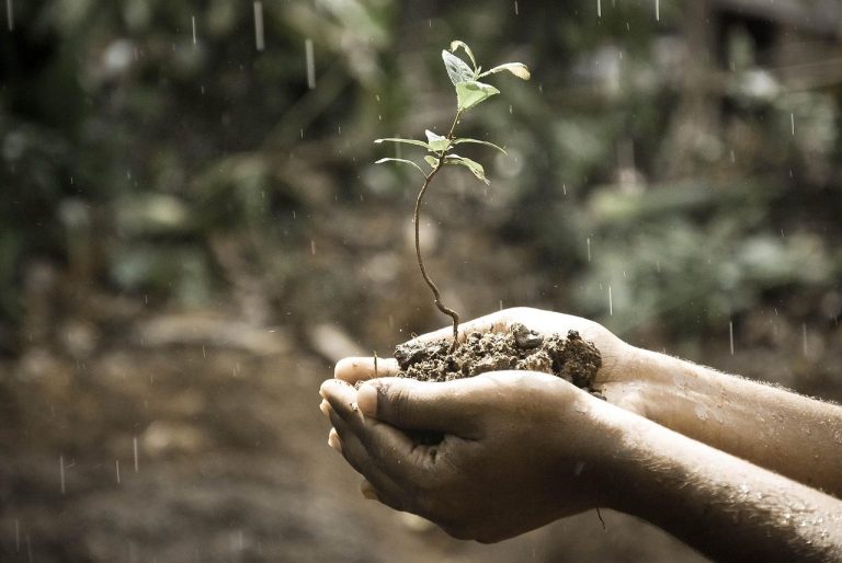 Planting day in the valley